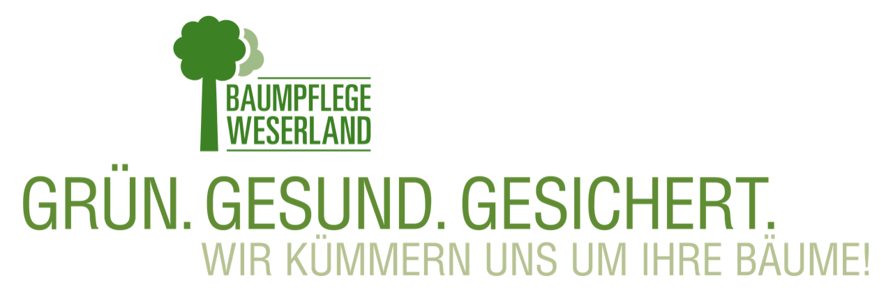 Baumpflege Weserland Bremen