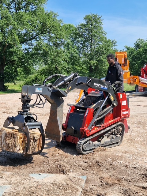 Baum im Einsatz