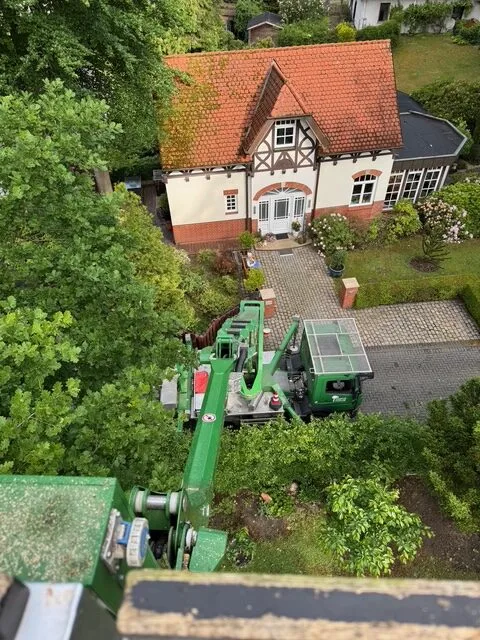 Vorher / Nachher 1