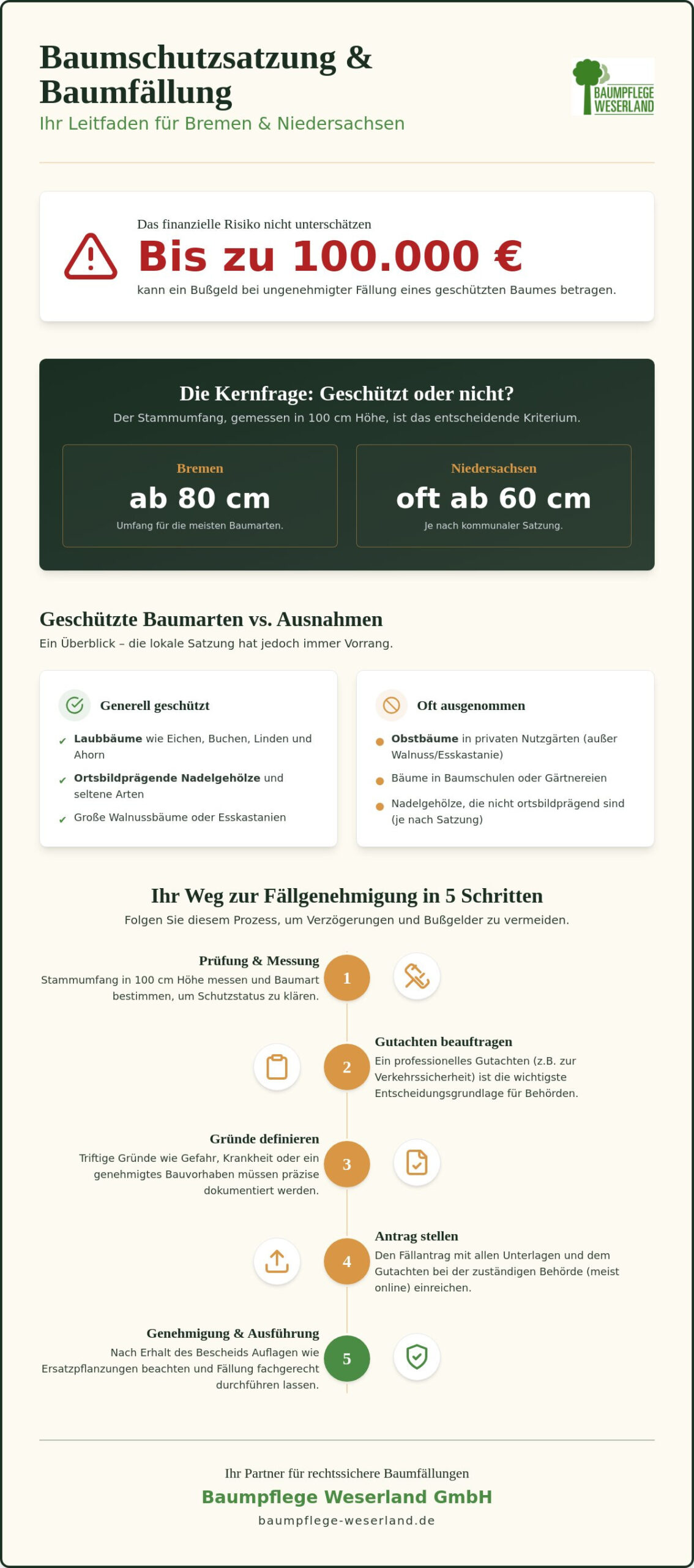 Baumschutzsatzung & Baumfällung: Ihr rechtssicherer Leitfaden für 2026