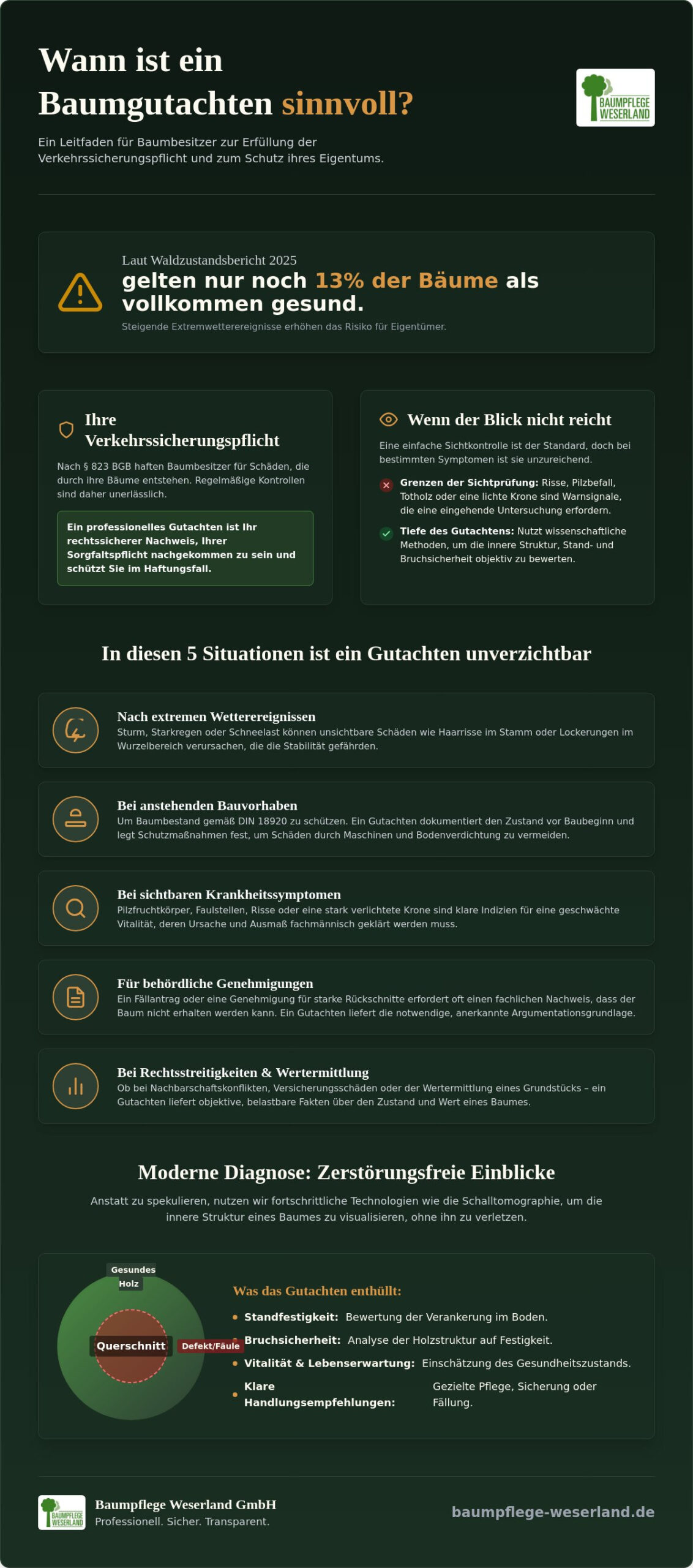 Wann ist ein Baumgutachten sinnvoll? Anlässe, Pflichten und Rechtssicherheit (2026)