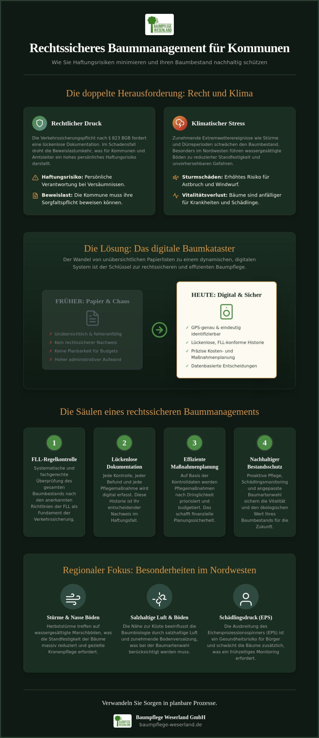 Baummanagement für Kommunen: Rechtssicherheit und Werterhalt im öffentlichen Raum