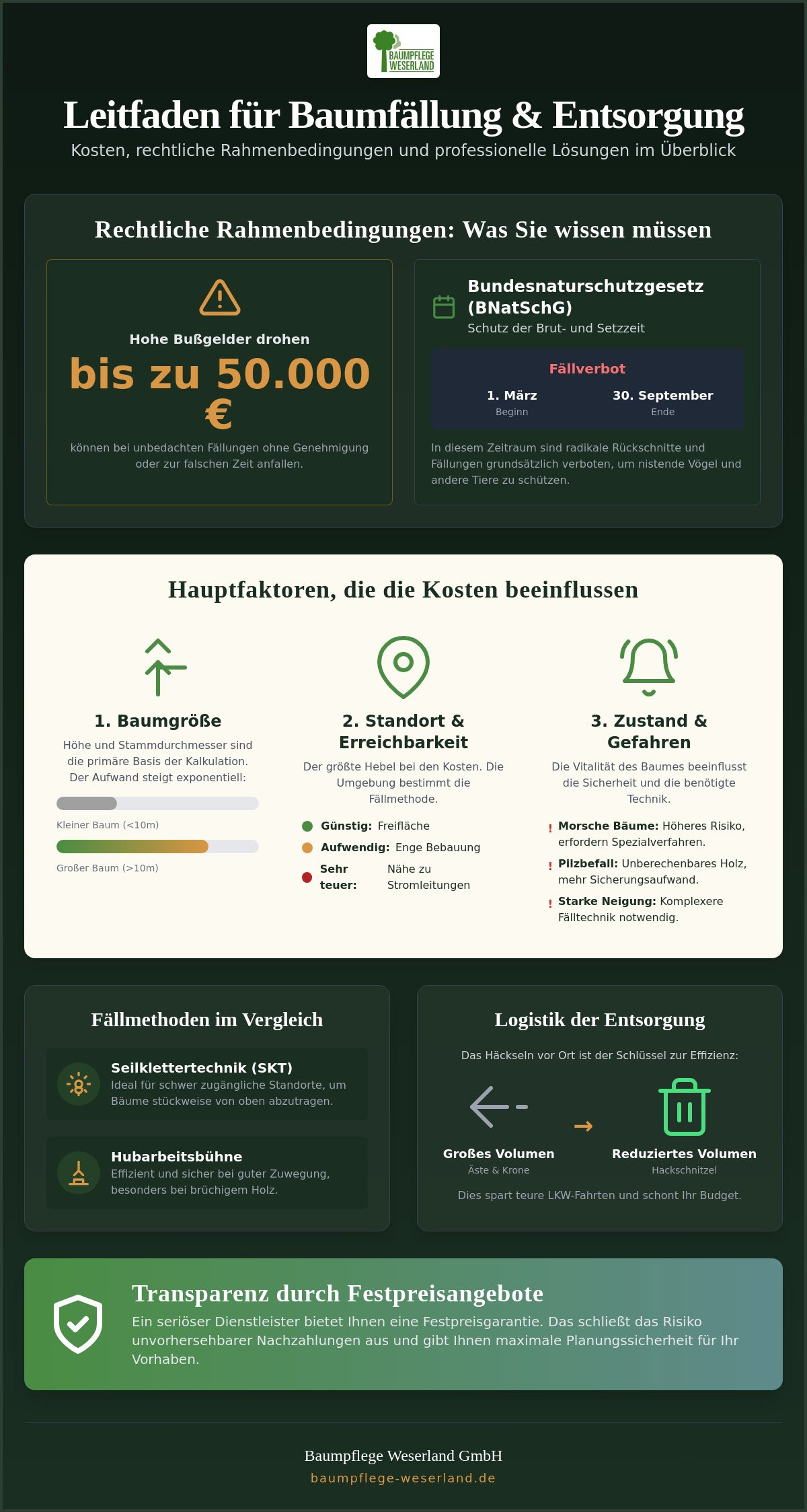 Baum fällen & Entsorgung: Kosten, Faktoren und Sparpotenziale 2026