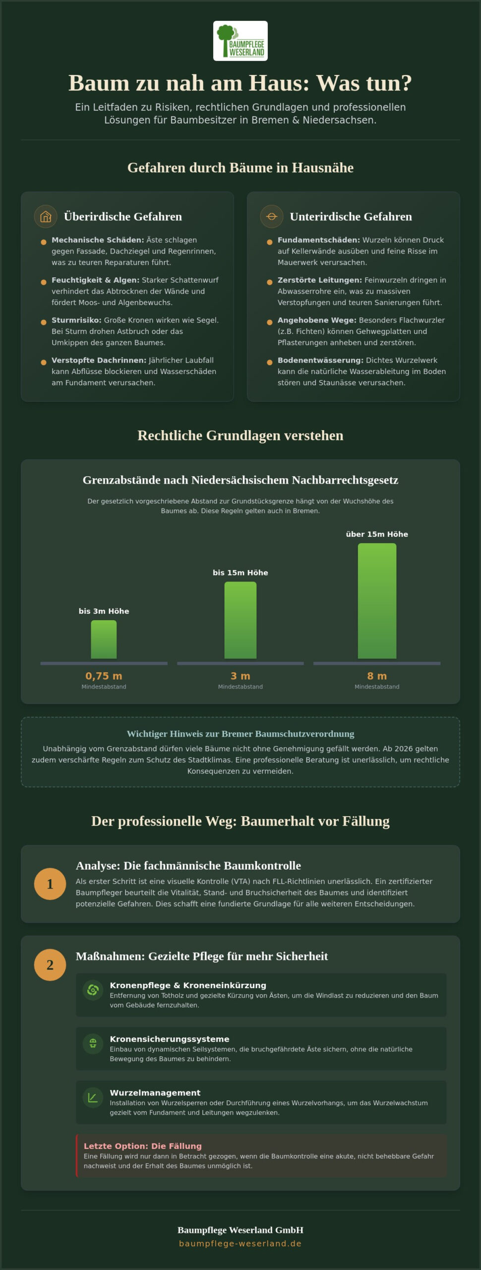 Baum zu nah am Haus: Was tun? Risiken, Recht und Lösungen (2026)