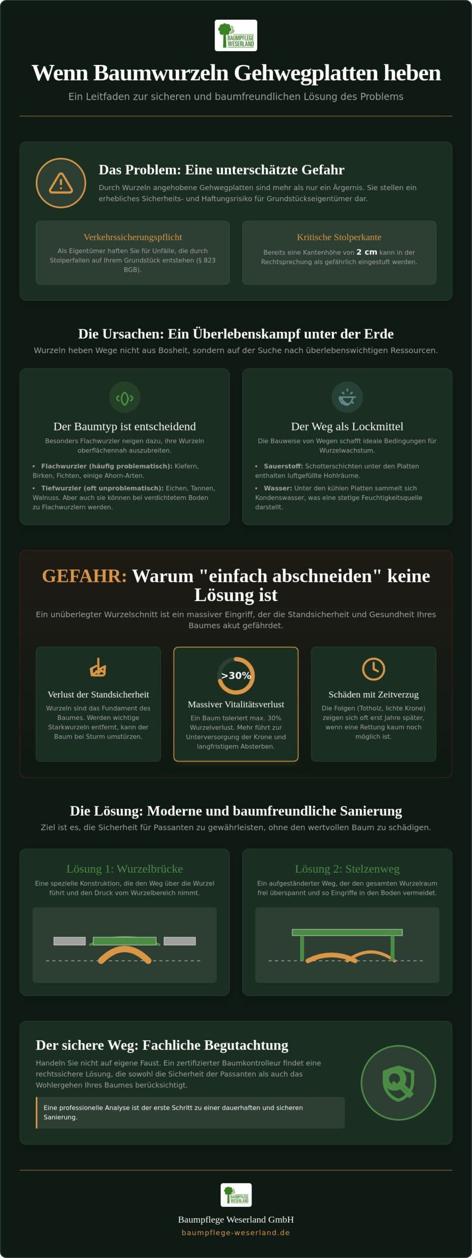 Baumwurzeln heben Gehwegplatten: Ursachen, Risiken und professionelle Lösungen 2026