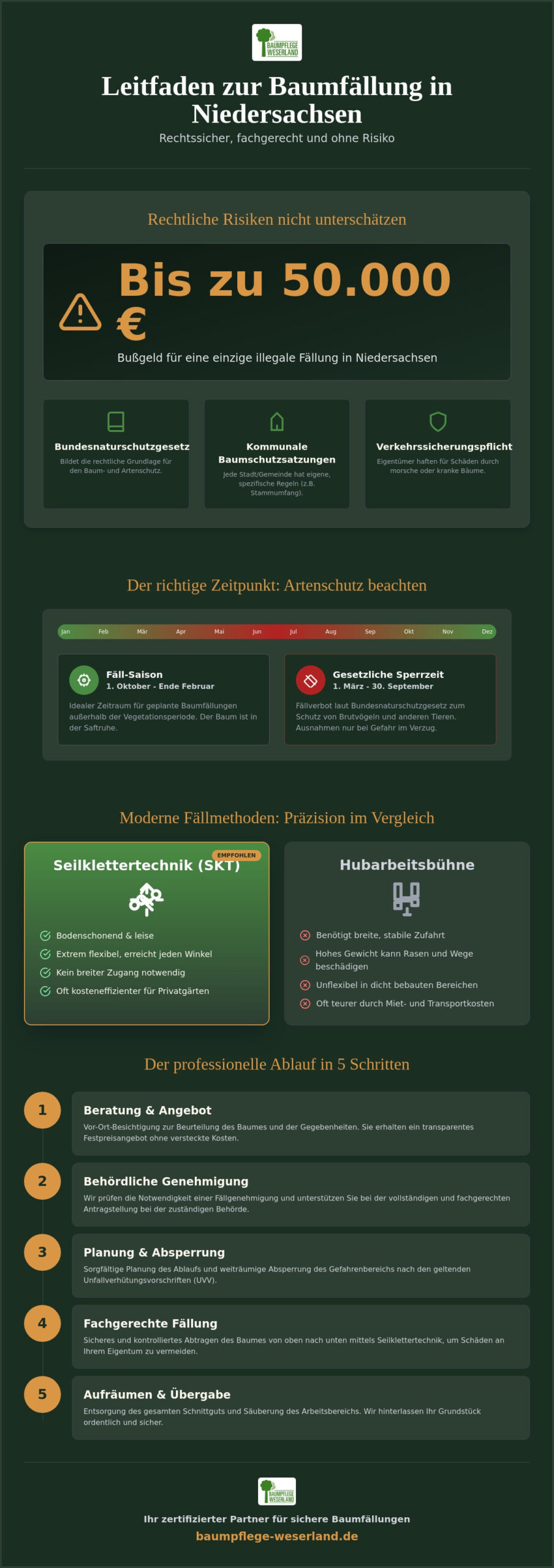 Baumfällung in Niedersachsen: Der Experten-Leitfaden zu Recht, Technik & Kosten (2026)