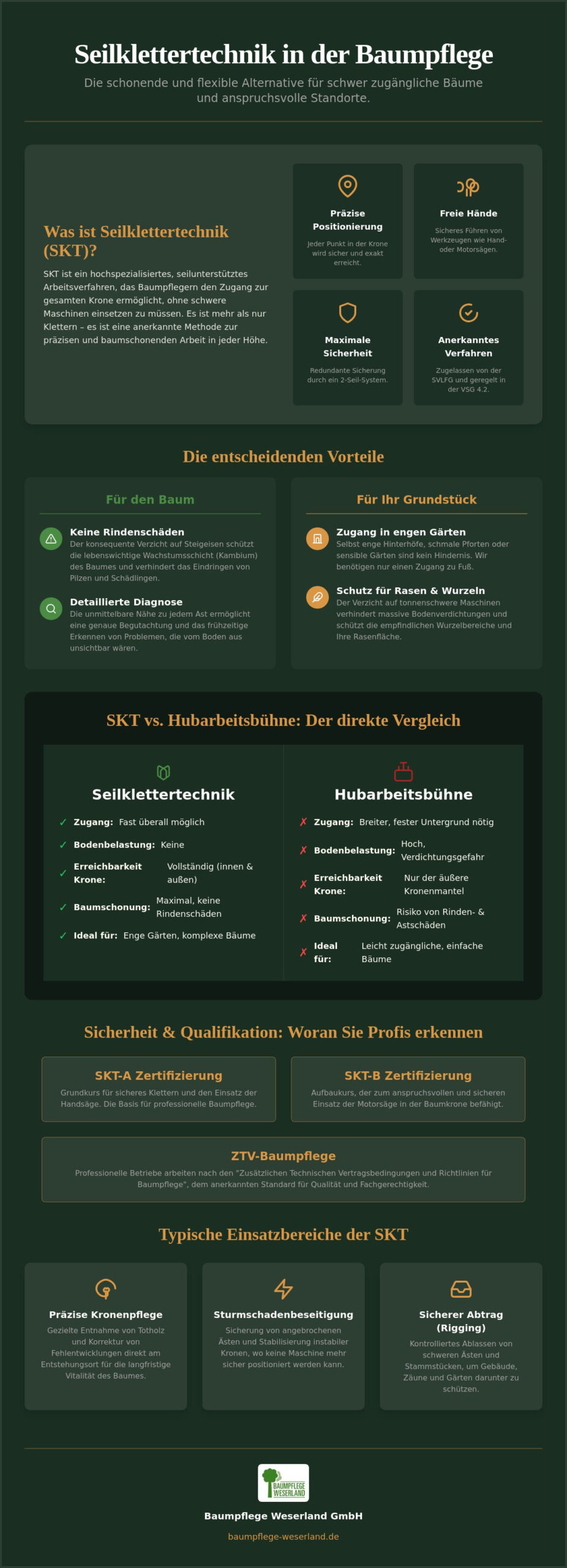 Seilklettertechnik in der Baumpflege: Schonende Baumarbeit für Ihren Garten