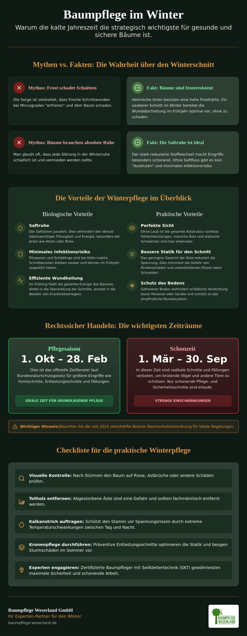 Baumpflege im Winter: Mythen vs. Realität – Warum Frost die beste Zeit für Ihre Bäume ist