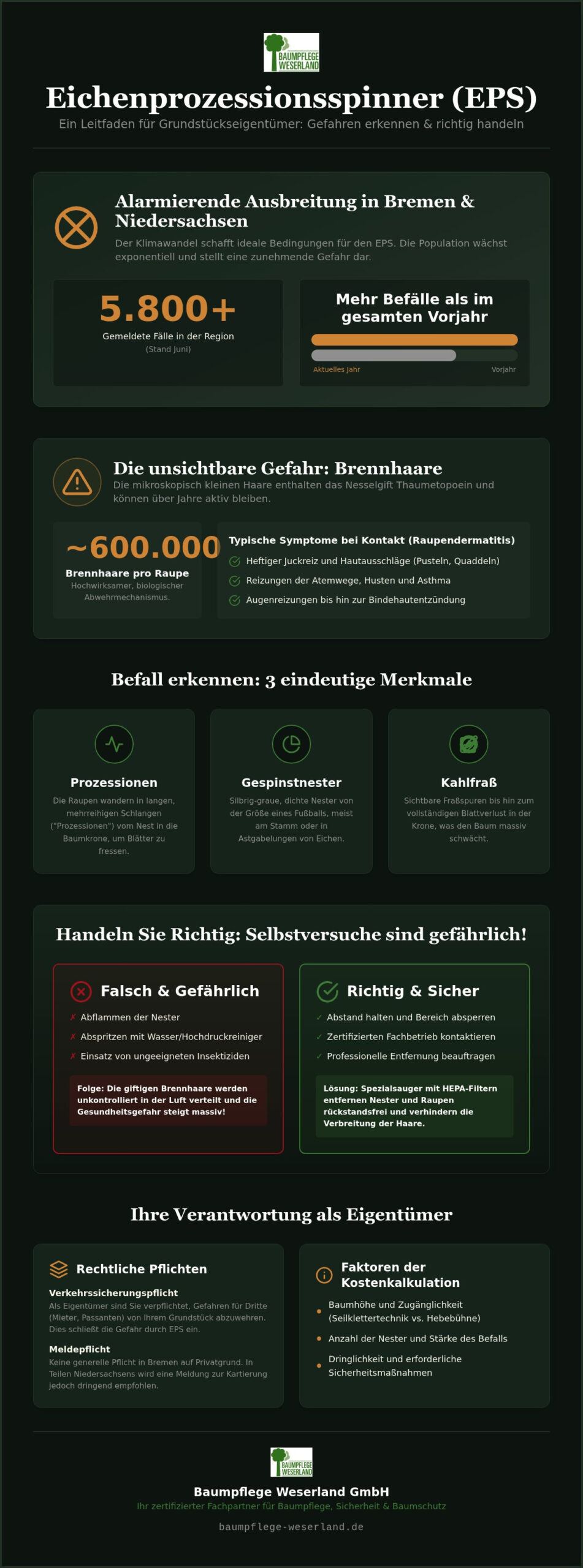 Spezialleistungen: Eichenprozessionsspinner-Bekämpfung