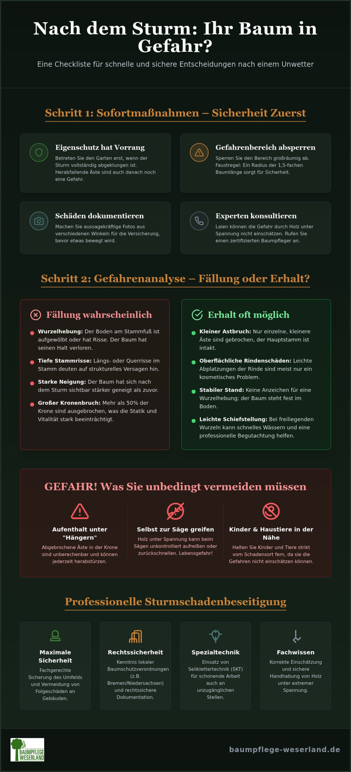 Baum fällen nach Sturm: Die ultimative Checkliste für Hausbesitzer 2026