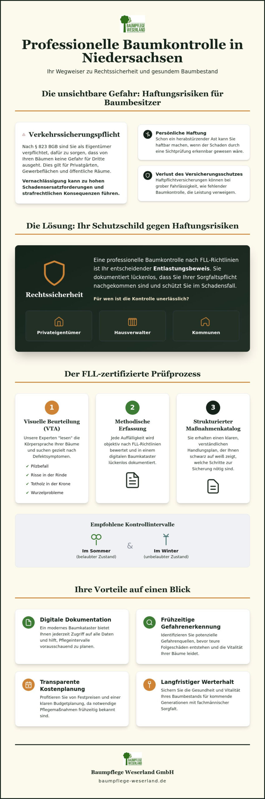 Professionelle Baumkontrolle in Niedersachsen: Sicherheit & Werterhalt (Leitfaden 2026)