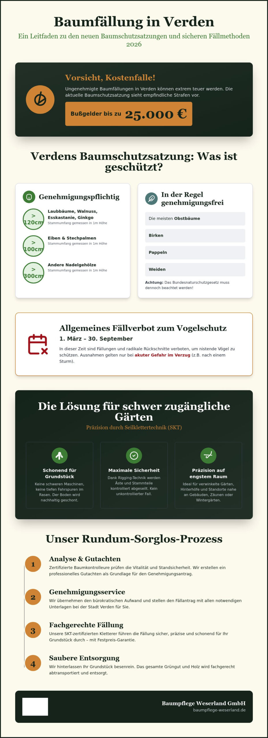 Baumfällung Verden: Sicherer Abtrag nach der neuen Baumschutzsatzung 2026