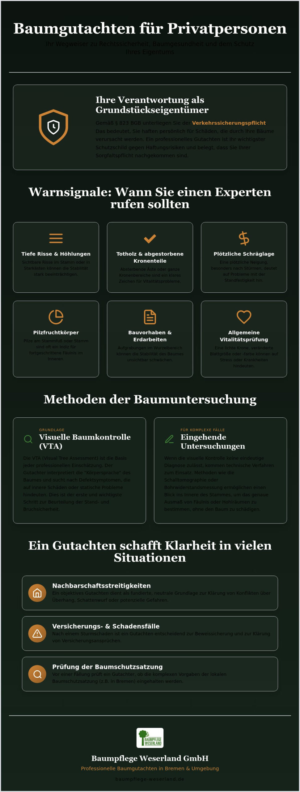 Baumgutachter für Privatpersonen: Wann Sie einen Sachverständigen wirklich brauchen