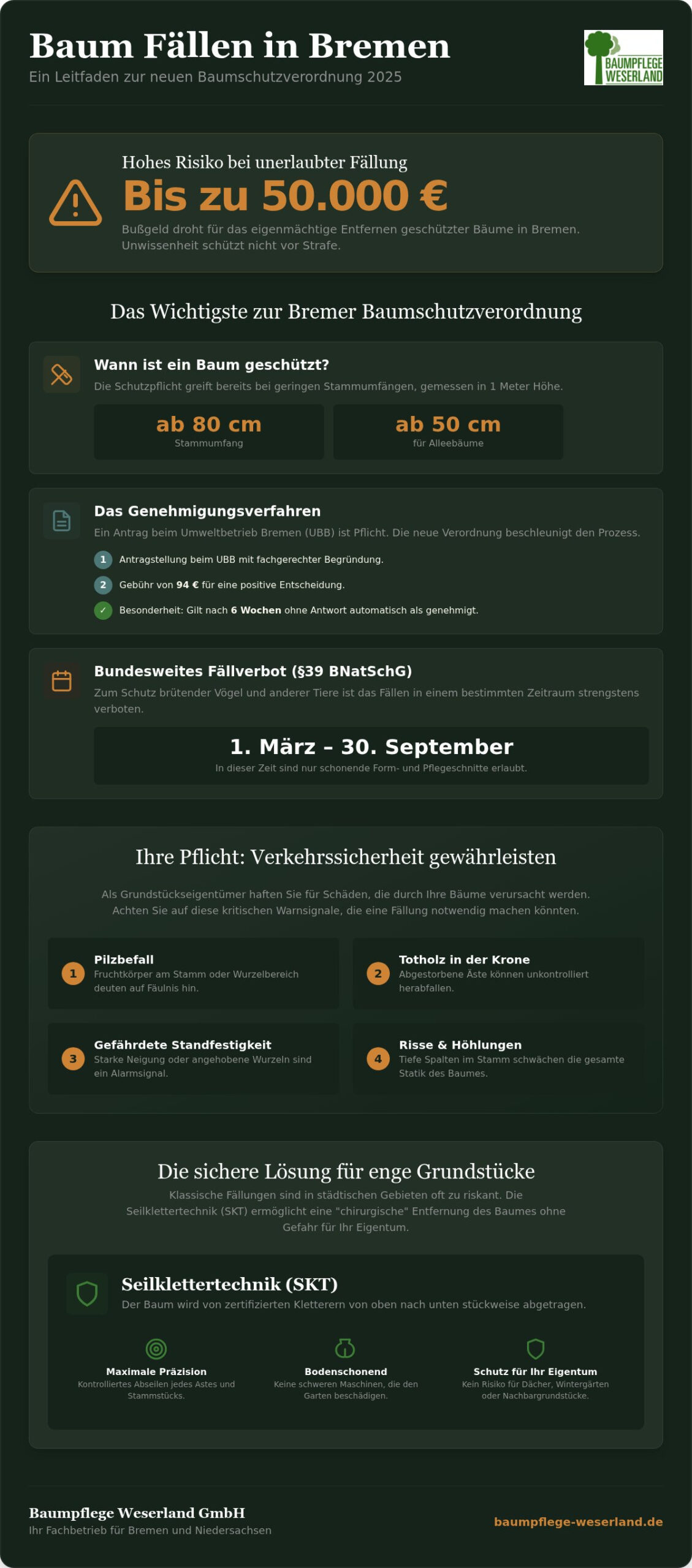Baum fällen lassen in Bremen: Kosten, Recht & Experten-Tipps (2026)
