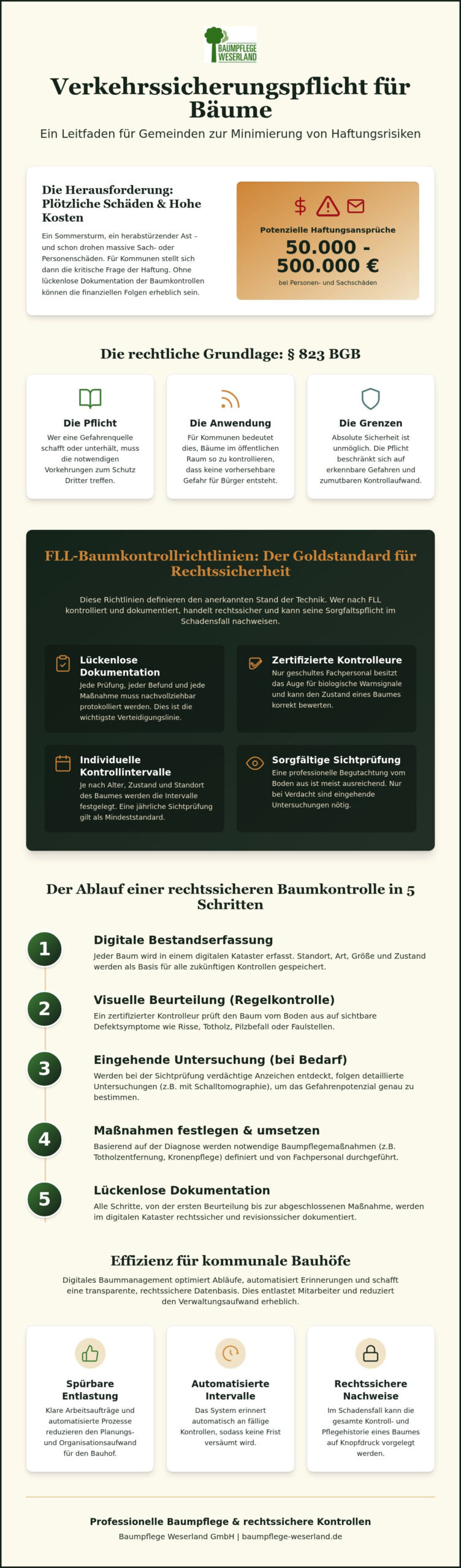 Verkehrssicherungspflicht für Bäume in der Gemeinde: Leitfaden 2026