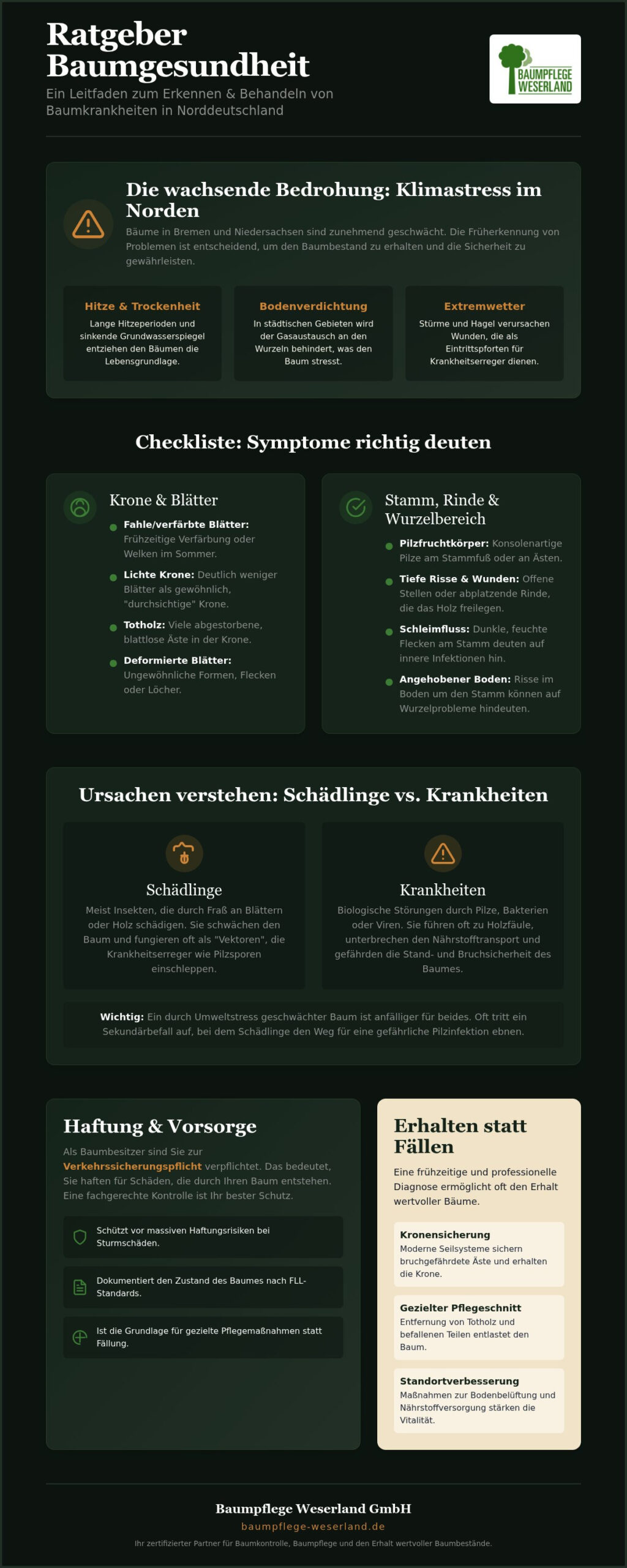 Baumkrankheiten erkennen und behandeln: Der Experten-Leitfaden 2026