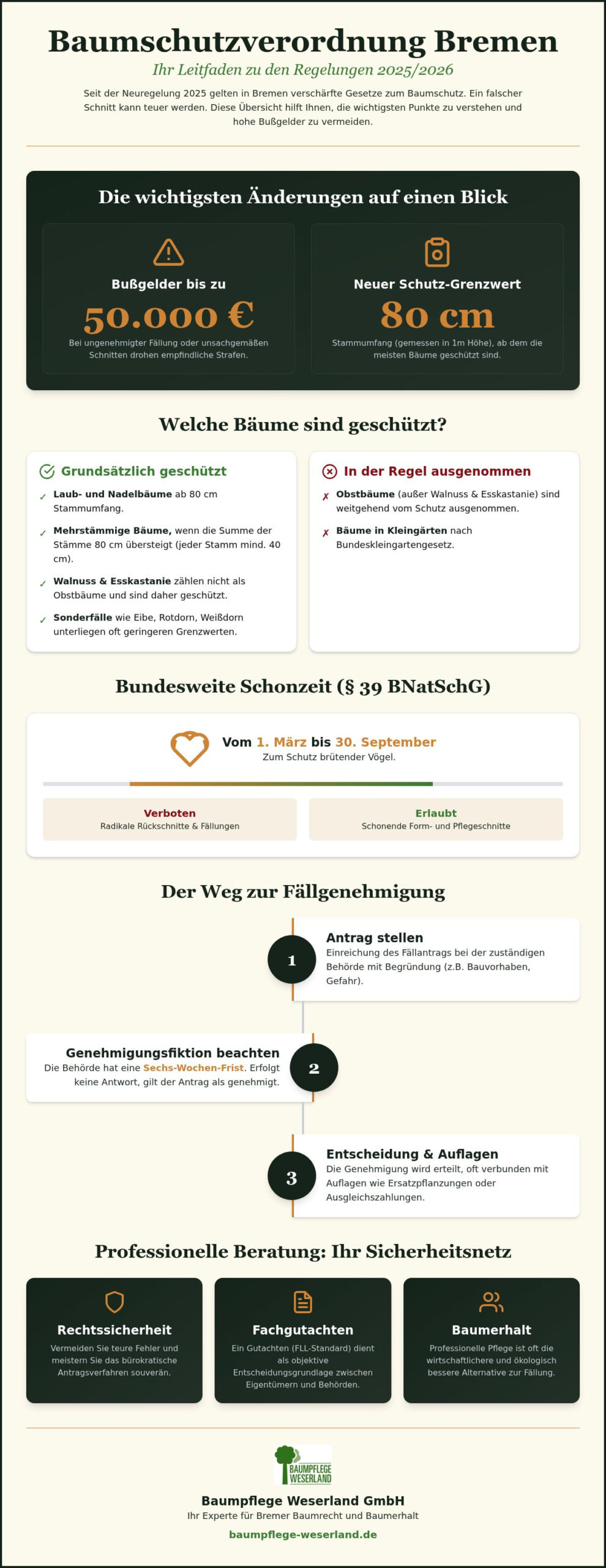 Baumschutzverordnung Bremen Beratung: Ihr Leitfaden für Rechtssicherheit und Baumerhalt 2026