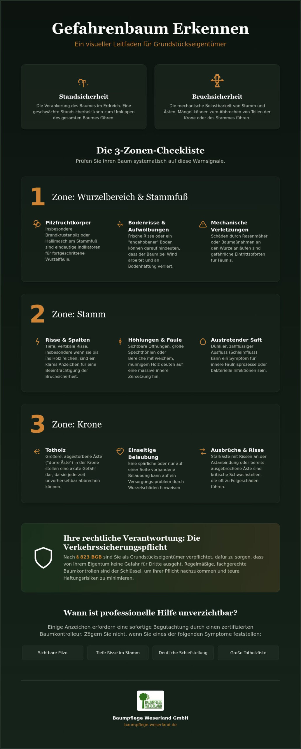 Gefahrenbaum erkennen: Der Experten-Leitfaden für Baumsicherheit 2026