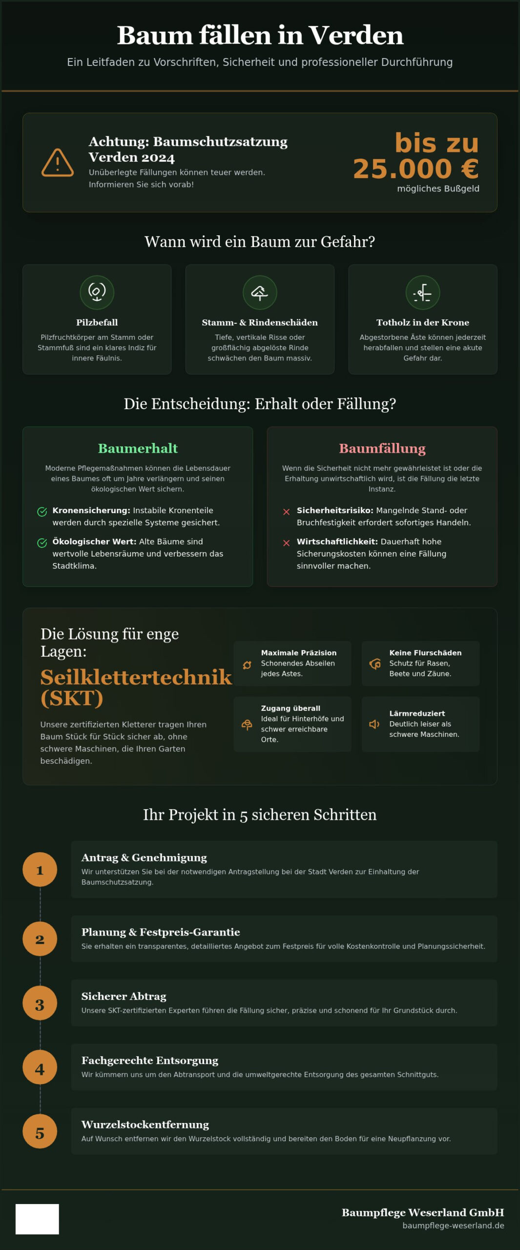 Baum fällen lassen in Verden: Ihr Experten-Leitfaden zu Recht, Technik & Kosten (2026)
