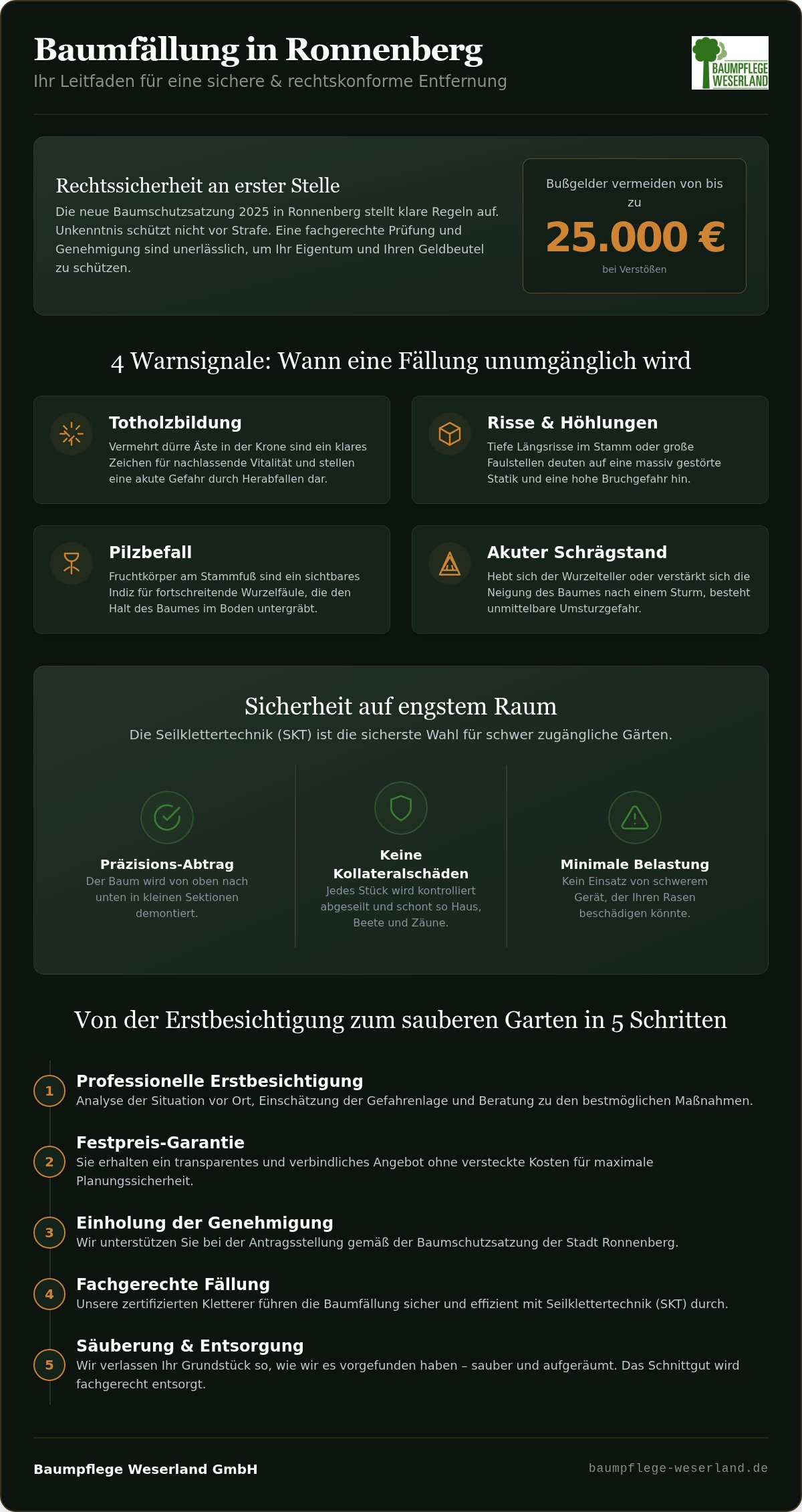Baumfällung Ronnenberg: Sicher, fachgerecht & zum Festpreis (2026)