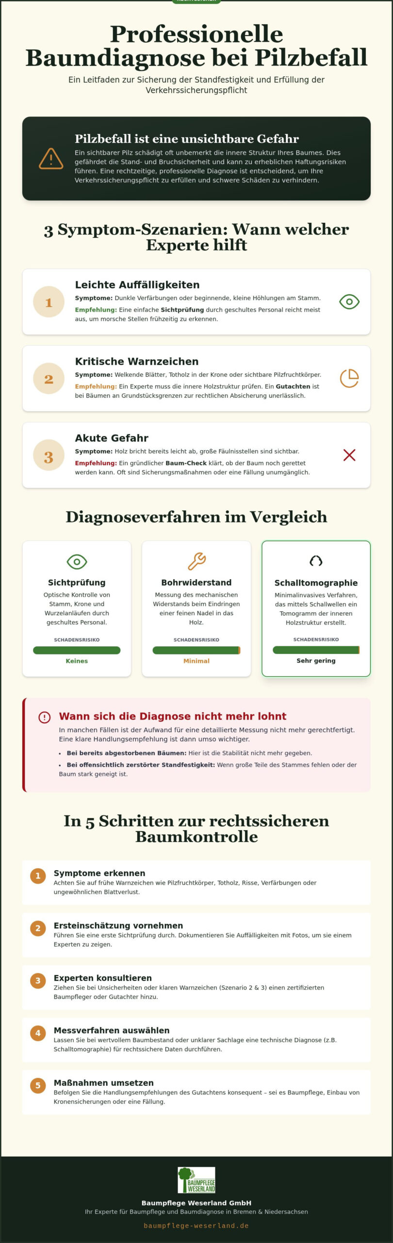 Baumdiagnose Pilzbefall meistern: Ein umfassender Leitfaden