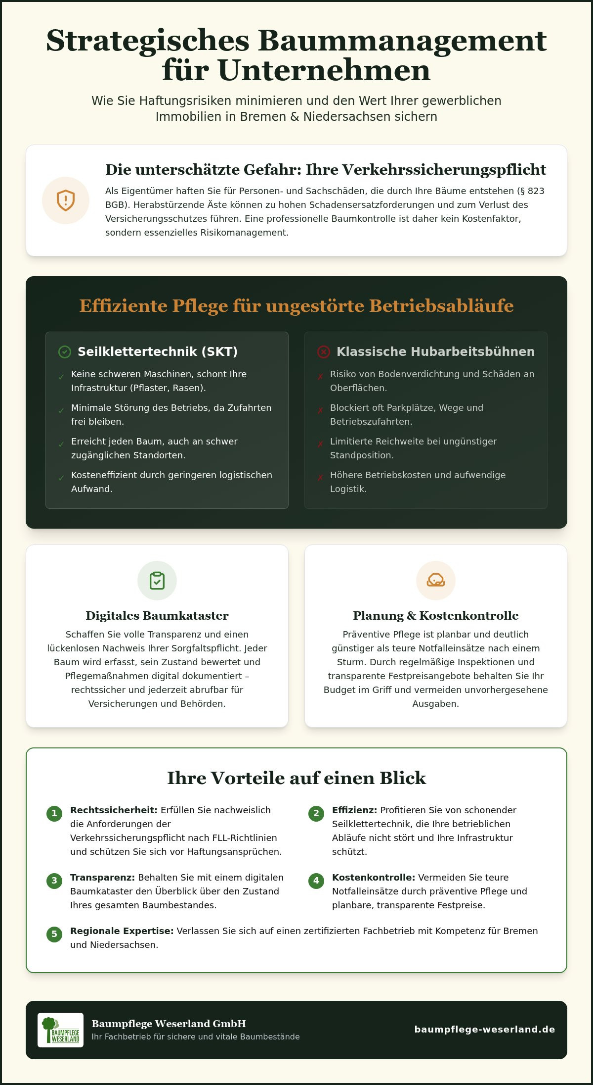 Baumpflege für Unternehmen: Sicherheit und Werterhalt Ihrer Grünflächen